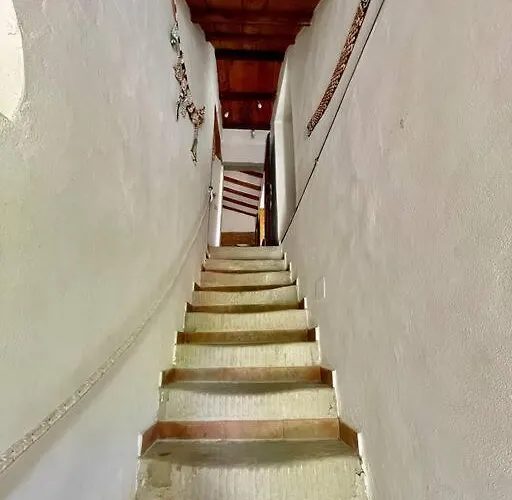 Il Colle - Pino Appartement Florence